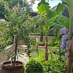Apartment Ornela