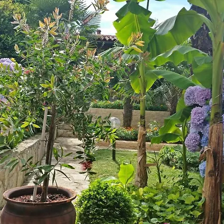 Apartment Ornela