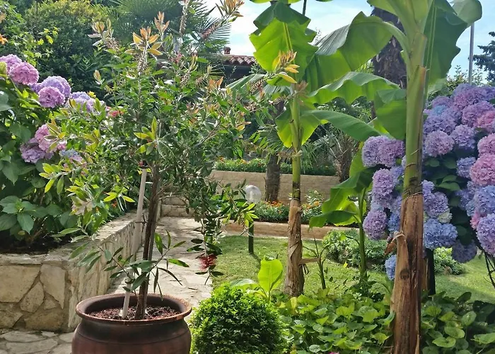 Appartement Ornela